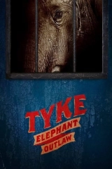Fil Tyke'ın Hikâyesi