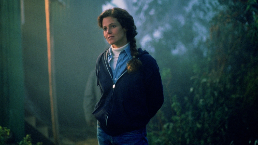 Sisteki Goriller (1988) izle